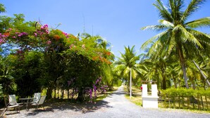 A paved pathway lined with palm trees and flowering plants, leading to a white structure with a sign. - Villa Avalon (Ko Pha-ngan)