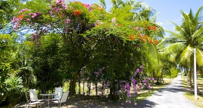 Villa Avalon