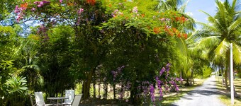 Villa Avalon