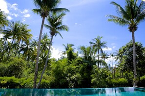 Outdoor pool, sun loungers - Villa Avalon (Ko Pha-ngan)