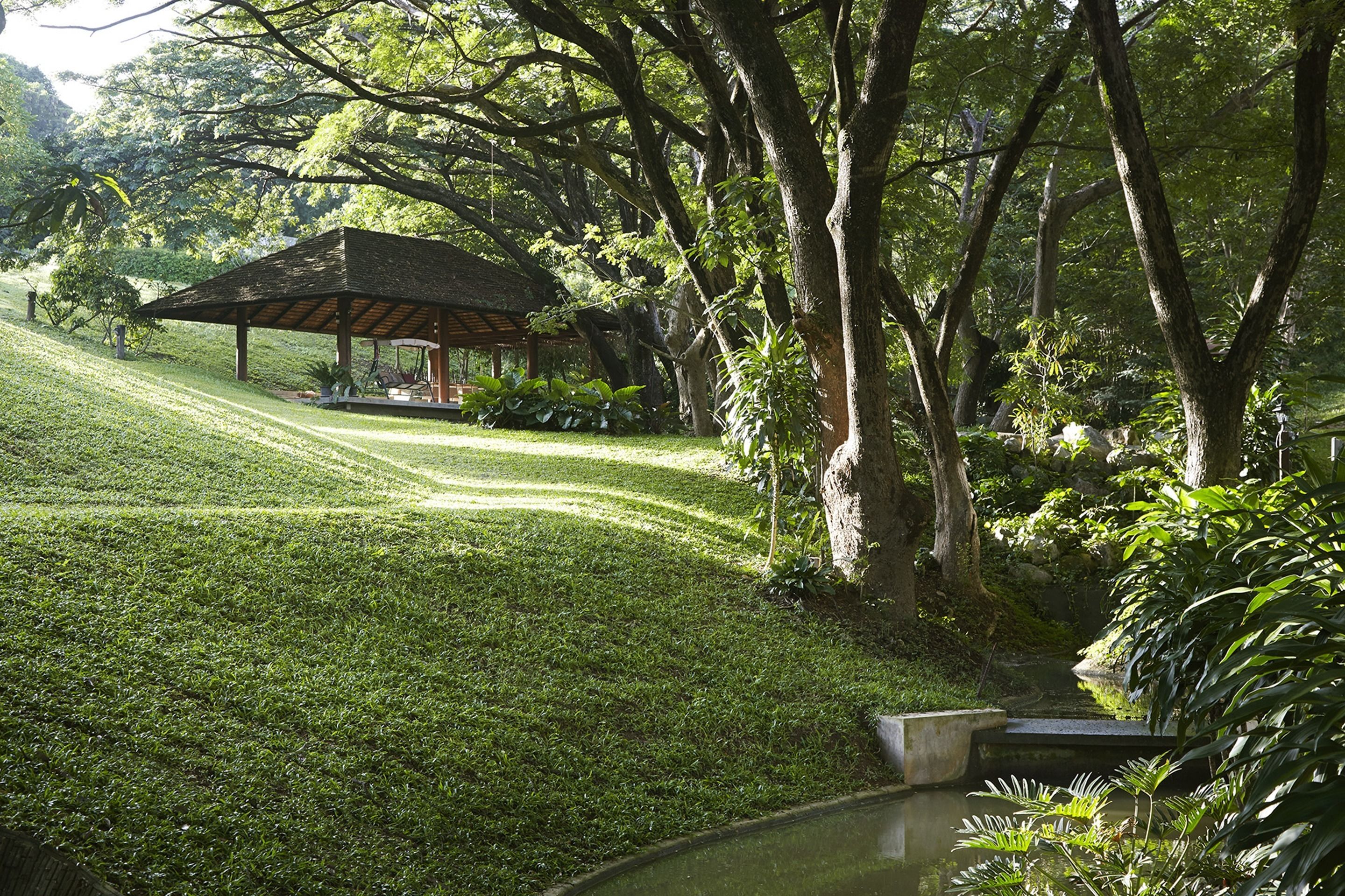 A gazebo with a thatched roof surrounded by lush greenery and a small pond.