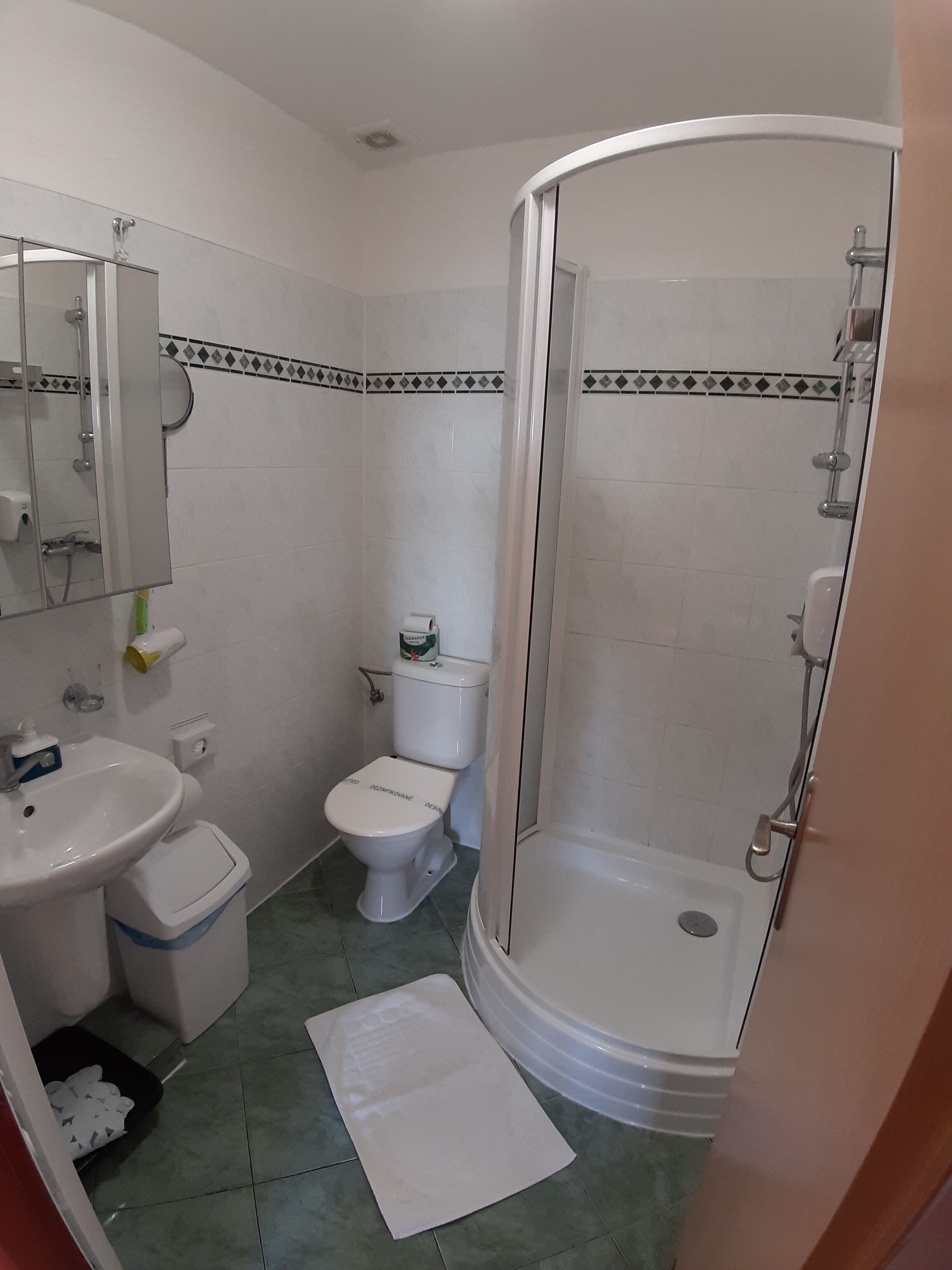 Une salle de bain avec un lavabo, des toilettes et une douche.