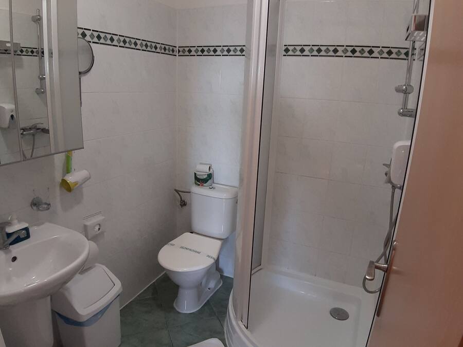 A bathroom with a sink, toilet, and shower.