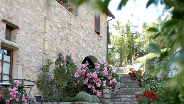 Edifici de pedra amb una escala que puja fins a una finestra, envoltat de vegetació exuberant i plantes florejants.