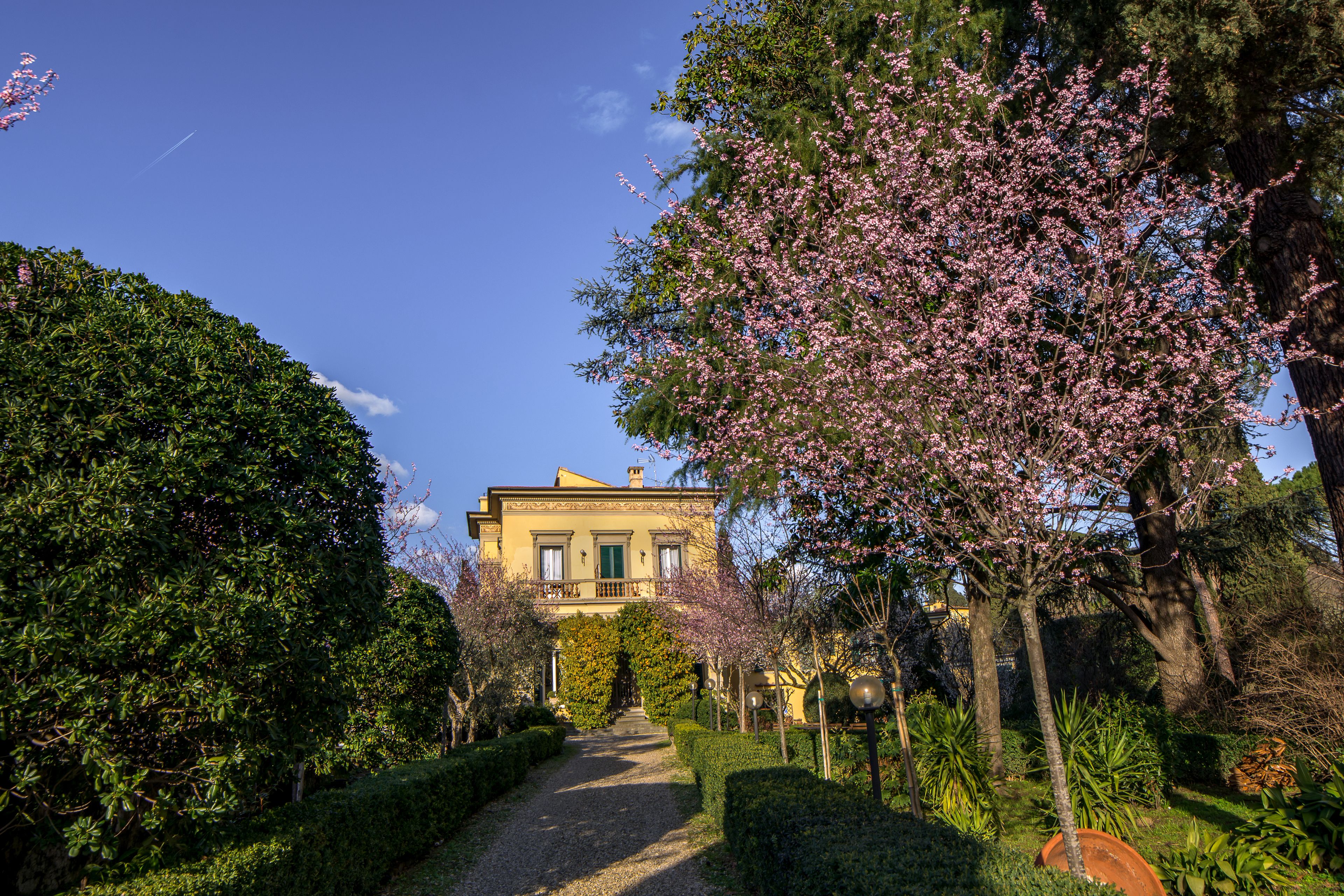 Photo - Dimora Salviati