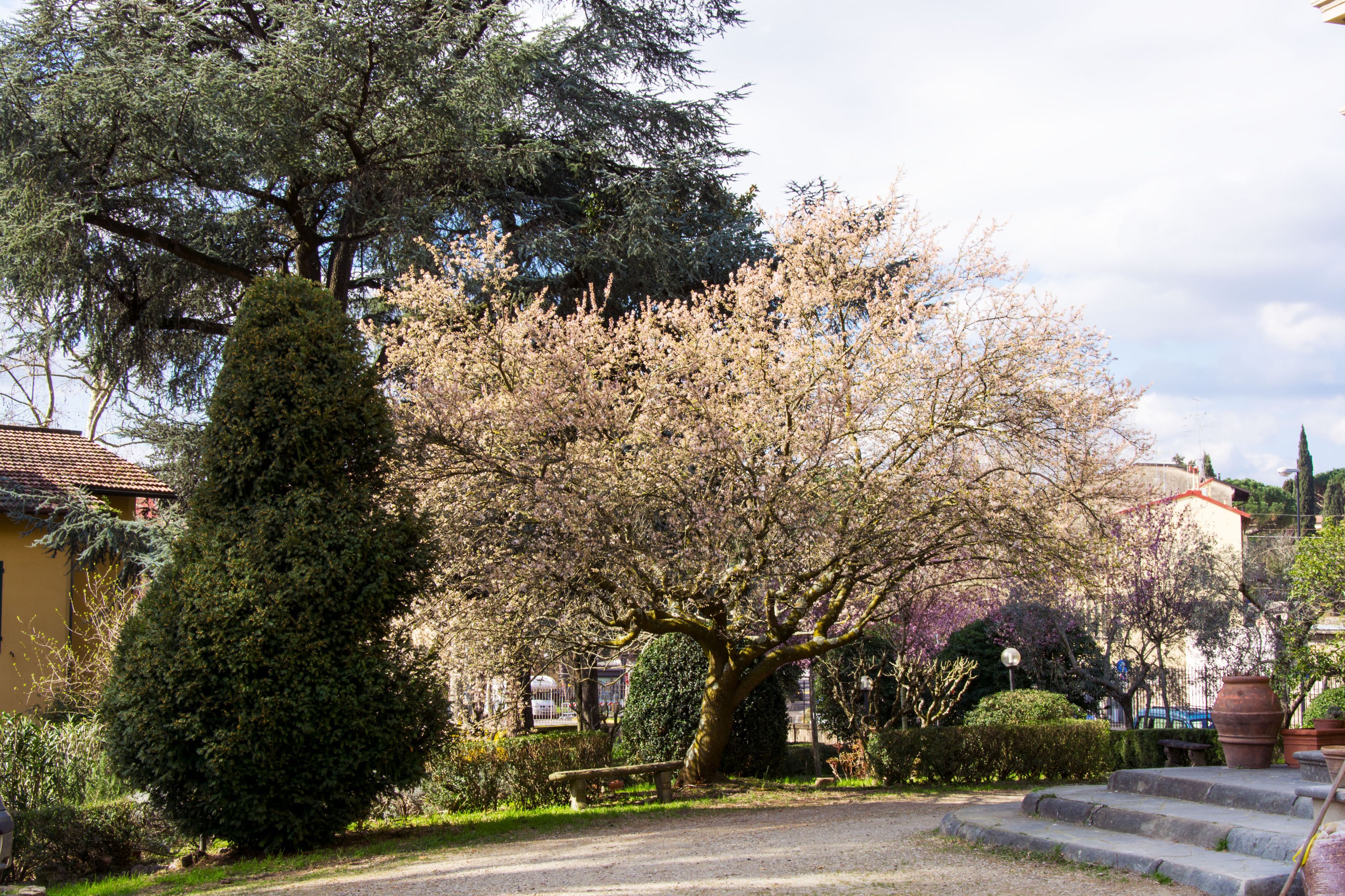 Photo - Dimora Salviati