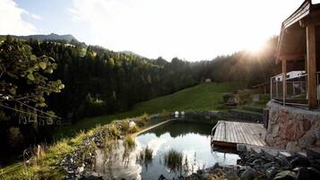 Natural pool