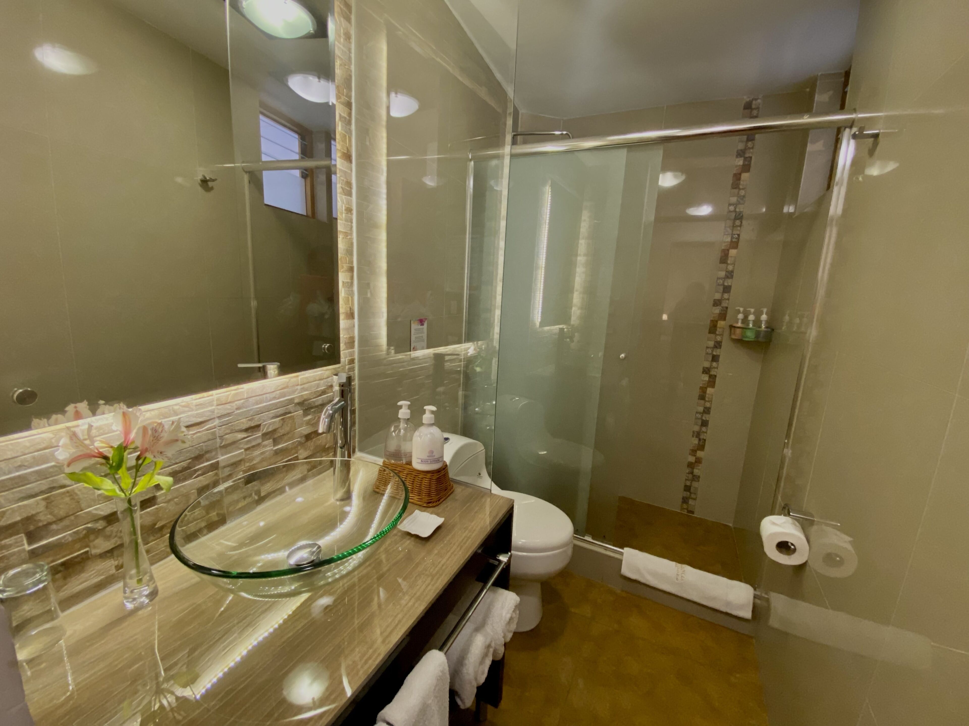 shower, free toiletries, hair dryer, bidet