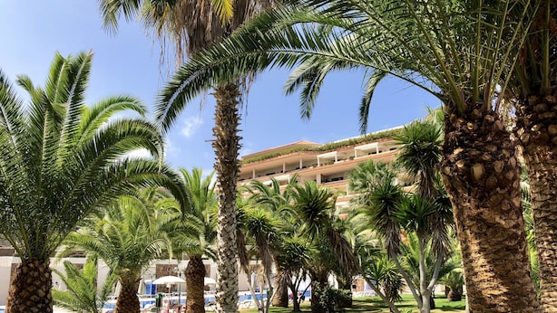 Un complexe hôtelier doté de palmiers, d’une piscine et d’un bâtiment agrémenté de nombreux balcons.