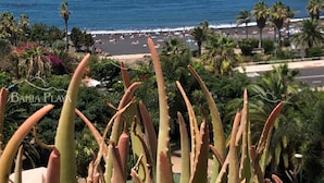 Une vue sur la côte, avec une plage, des palmiers et un promontoire rocheux.