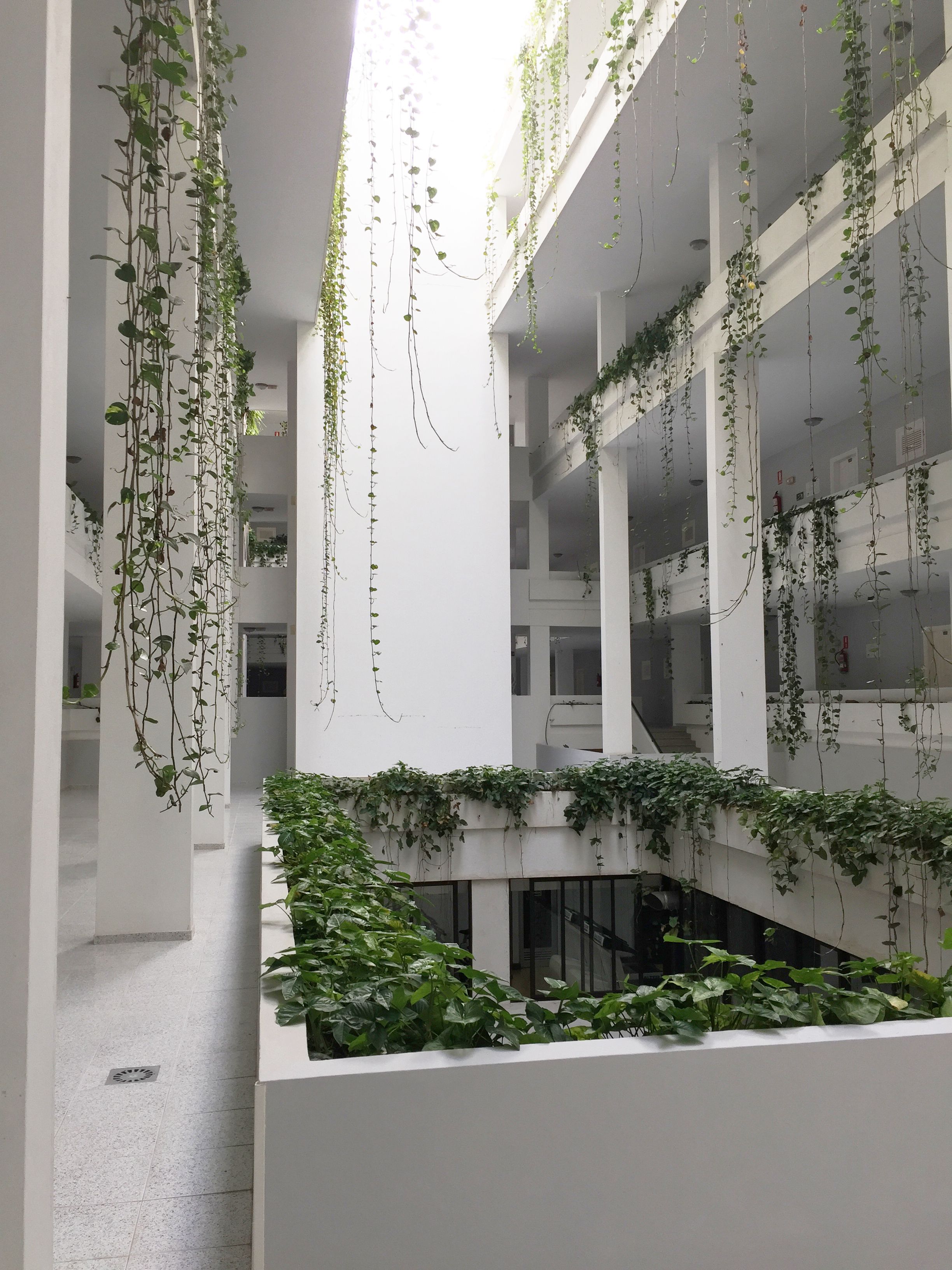 Een meerlaags atrium met hangende wijnstokken en groen.