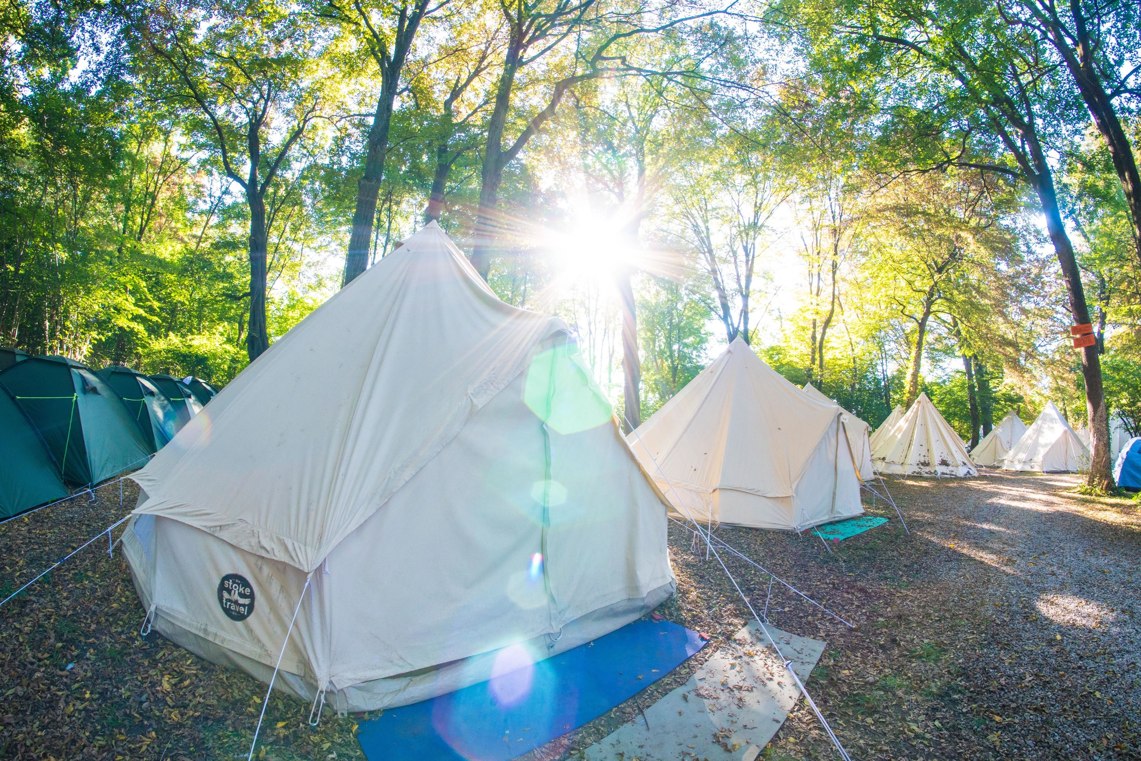 A row of tents in a forested area with sunlight filtering through the trees.