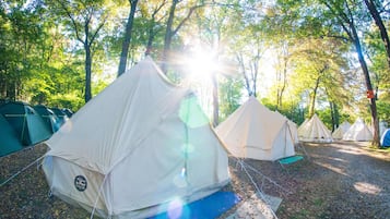 A row of tents in a forested area with sunlight filtering through the trees.