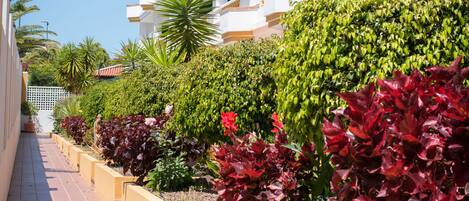 Un hôtel doté de nombreux balcons, d’un chemin bordé de carreaux et d’une grande variété de plantes.