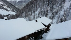 A wooden cabin with a snow-covered roof, surrounded by a forested mountain landscape. - Ferienwohnungen am Berg - Almhütte Alfen (Innervillgraten)