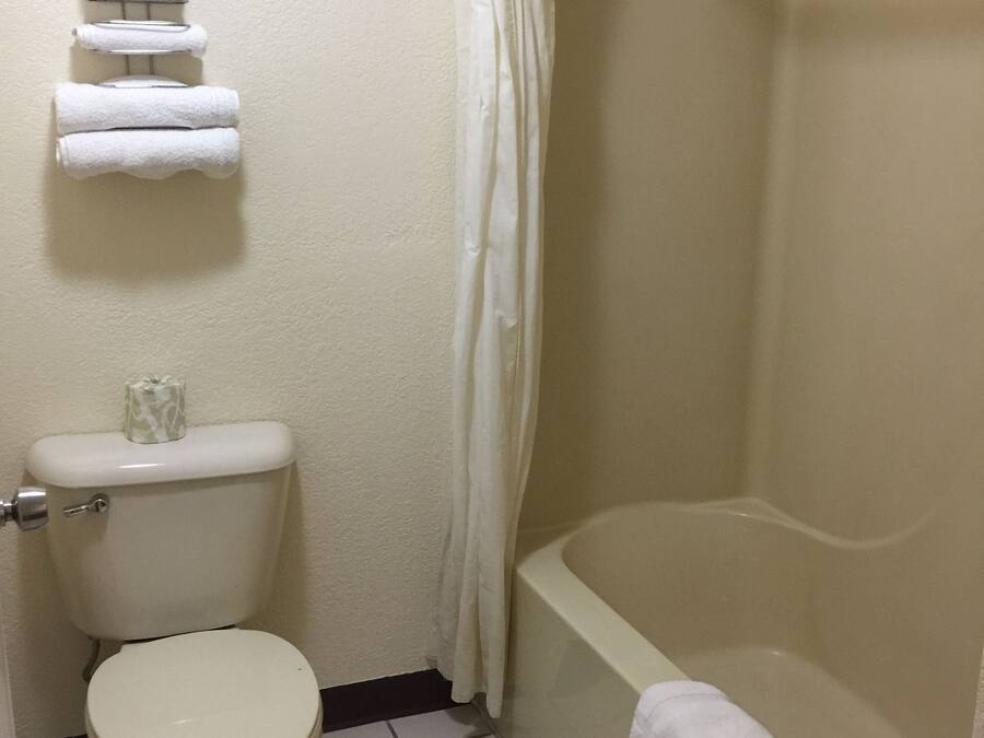 Towels, soap, shampoo, toilet paper