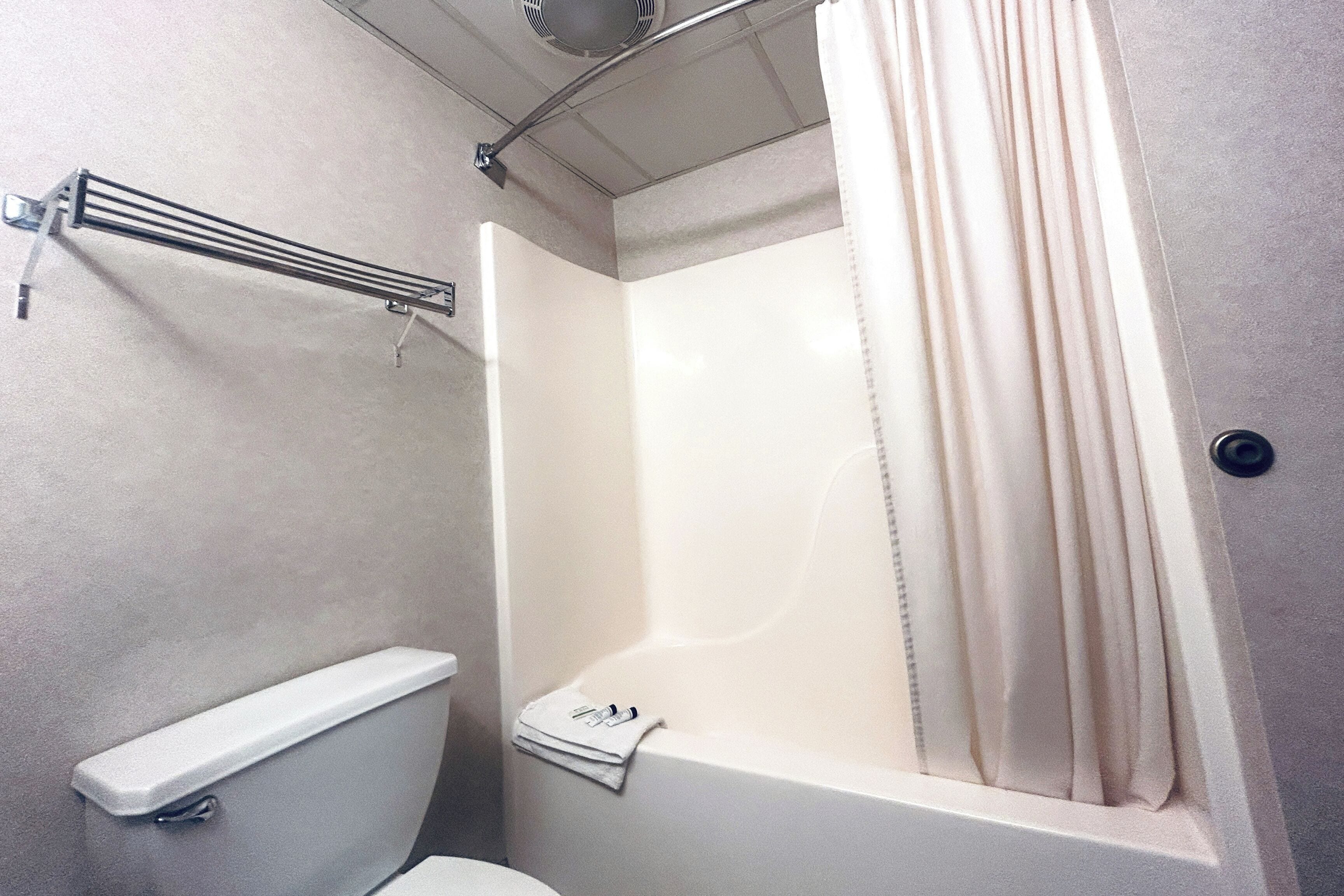 A bathroom with a toilet, a bathtub, and a shower curtain.