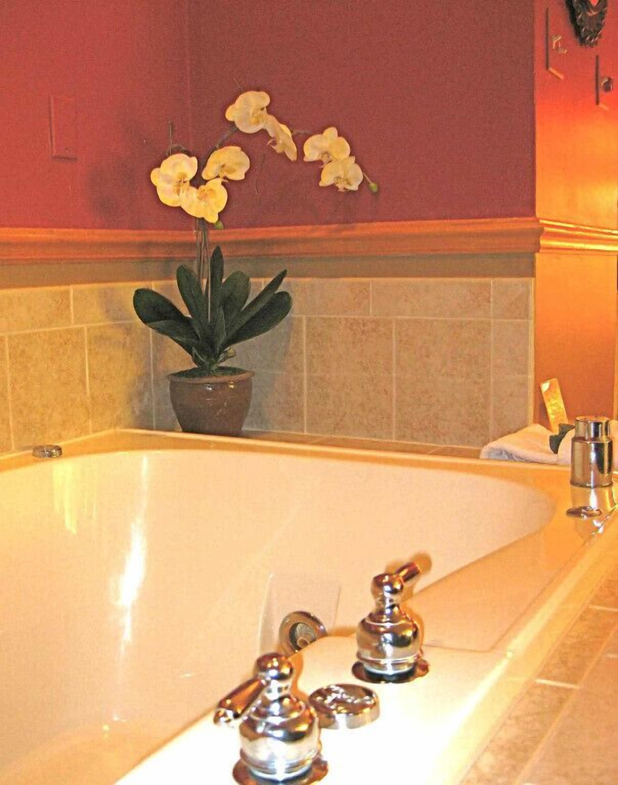 Ein Badezimmer mit Badewanne, einer Zimmerpflanze und einem Handtuchhalter.