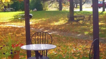 An outdoor patio with a table and two chairs, surrounded by trees with autumn leaves.