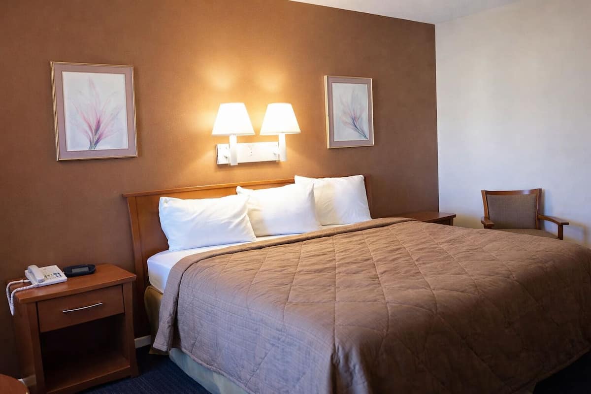 Superior Room, 1 King Bed, Non Smoking | Desk, laptop workspace, iron/ironing board, free WiFi