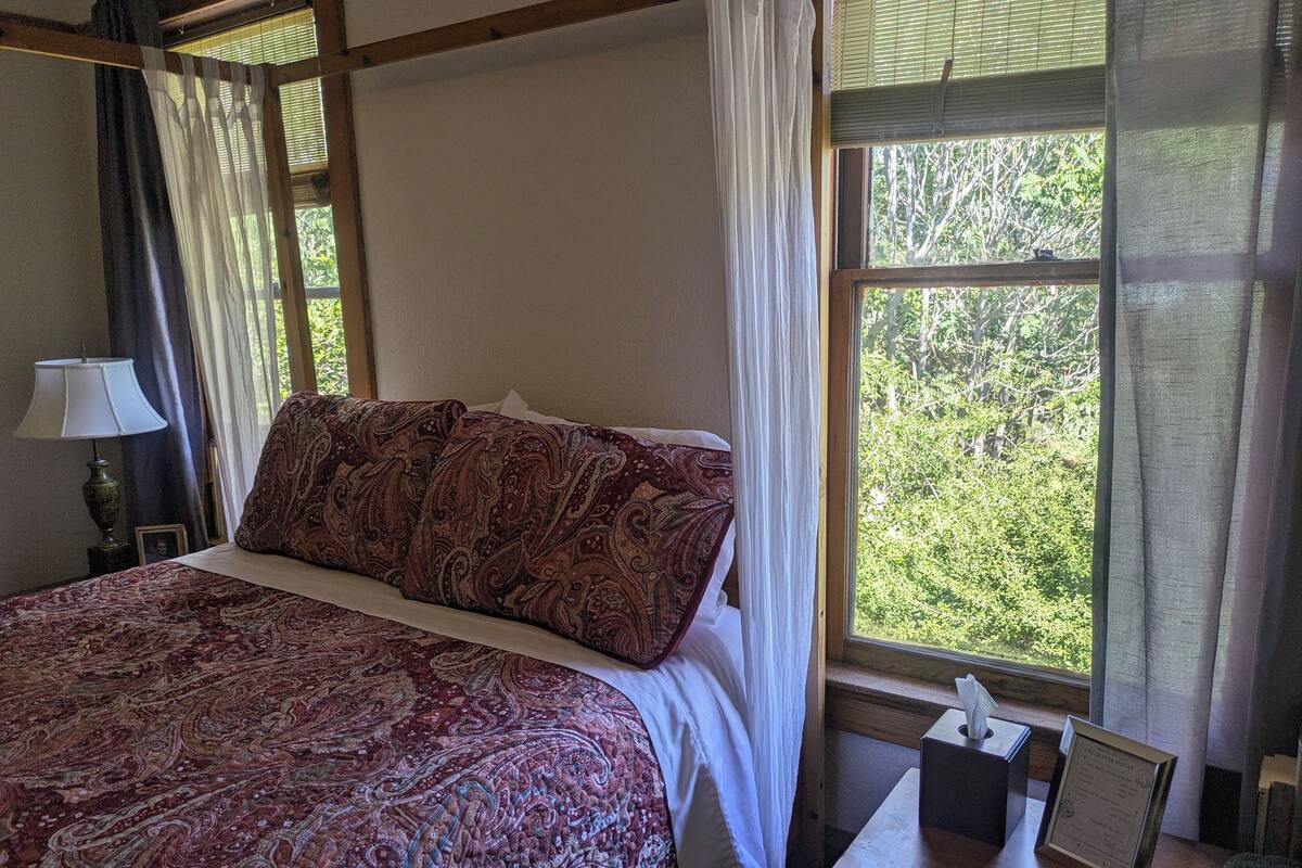 A bedroom with a large bed, a bedside table with a tissue box, a lamp, and a window with a view of trees.