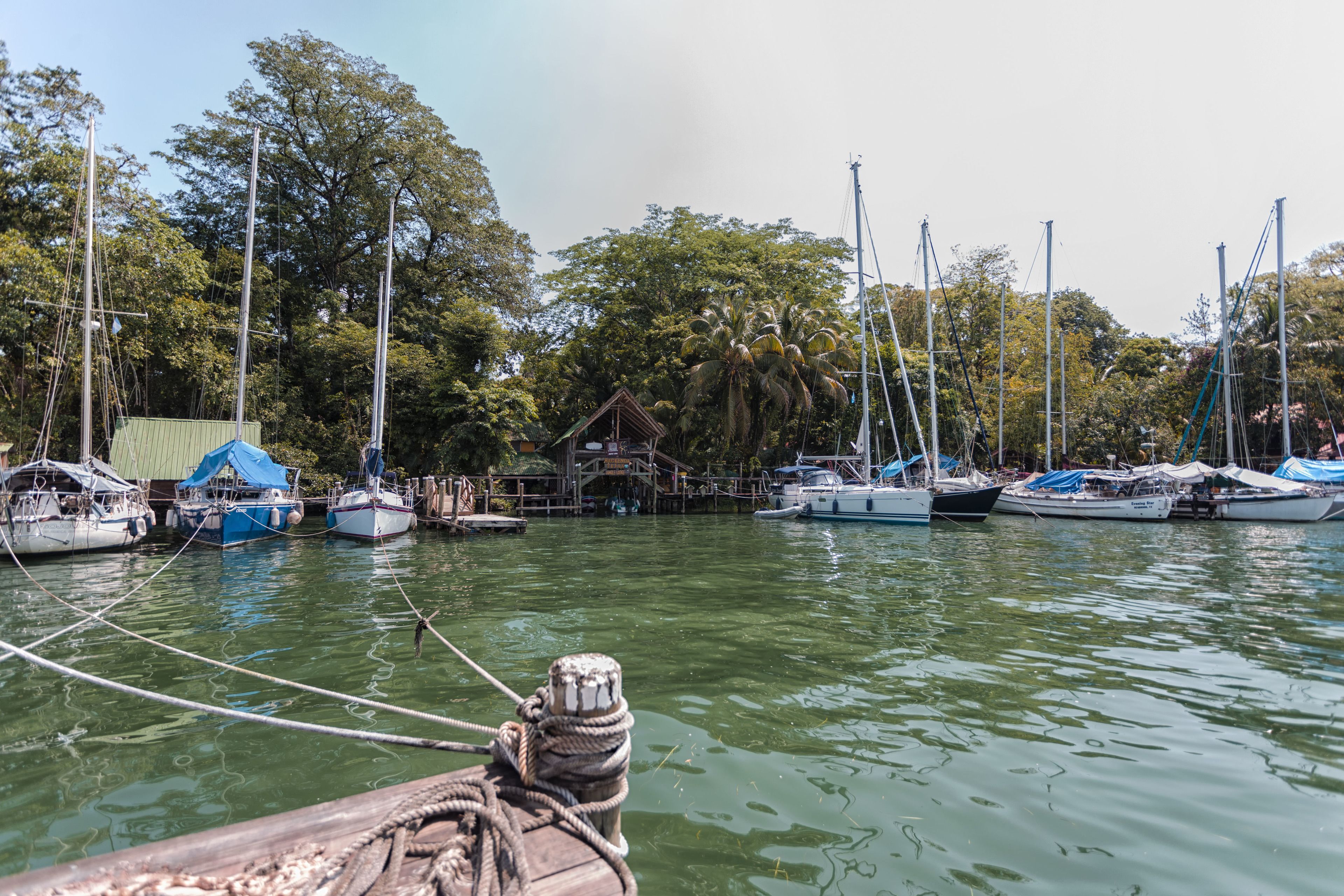 A marina with multiple boats docked, surrounded by trees and a small wooden structure.