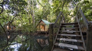A wooden deck leading to a small cabin with a green roof, surrounded by dense forest and reflecting in the water below. - Hotel Hacienda Tijax (Livingston)