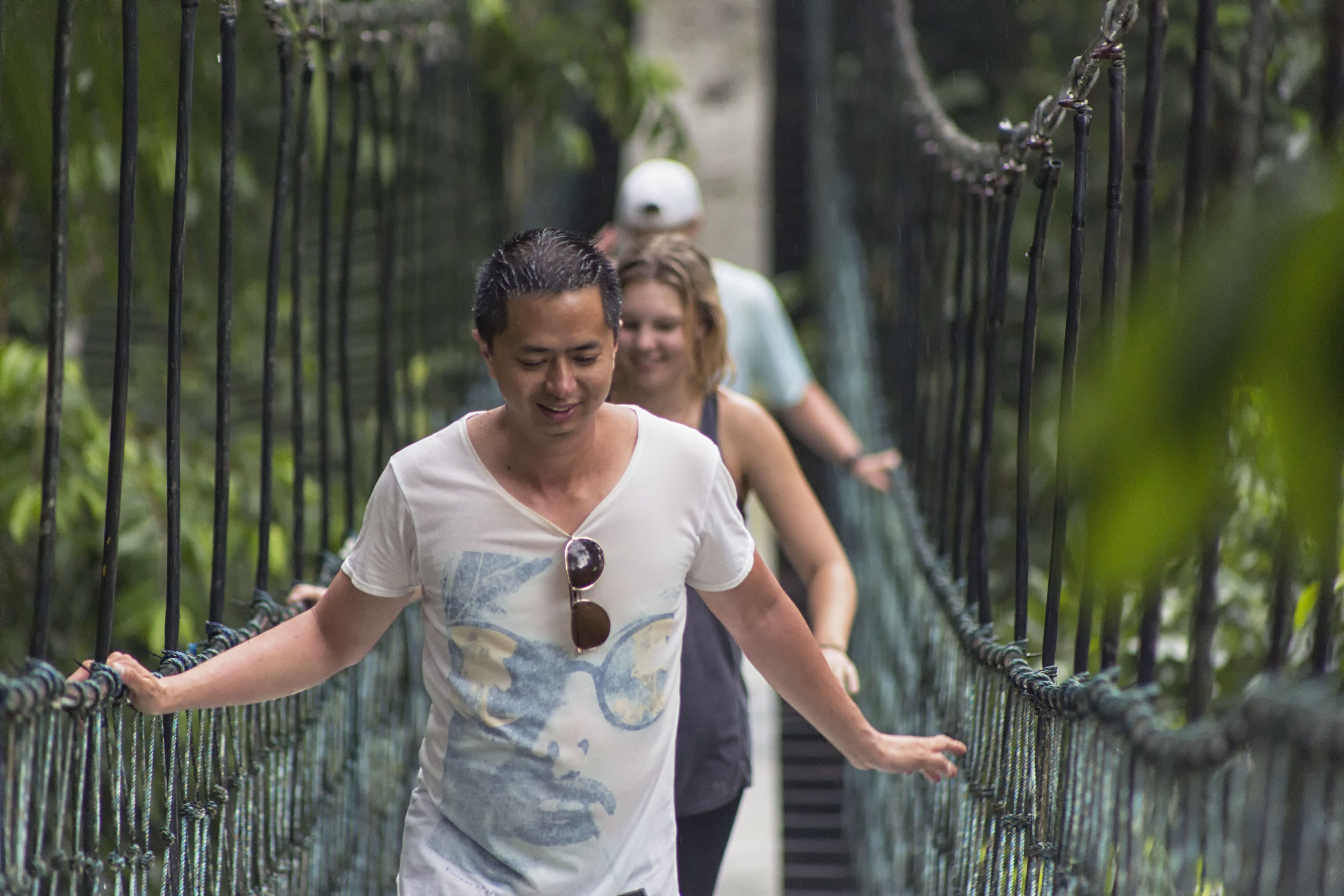 A person walking on a rope bridge surrounded by greenery.