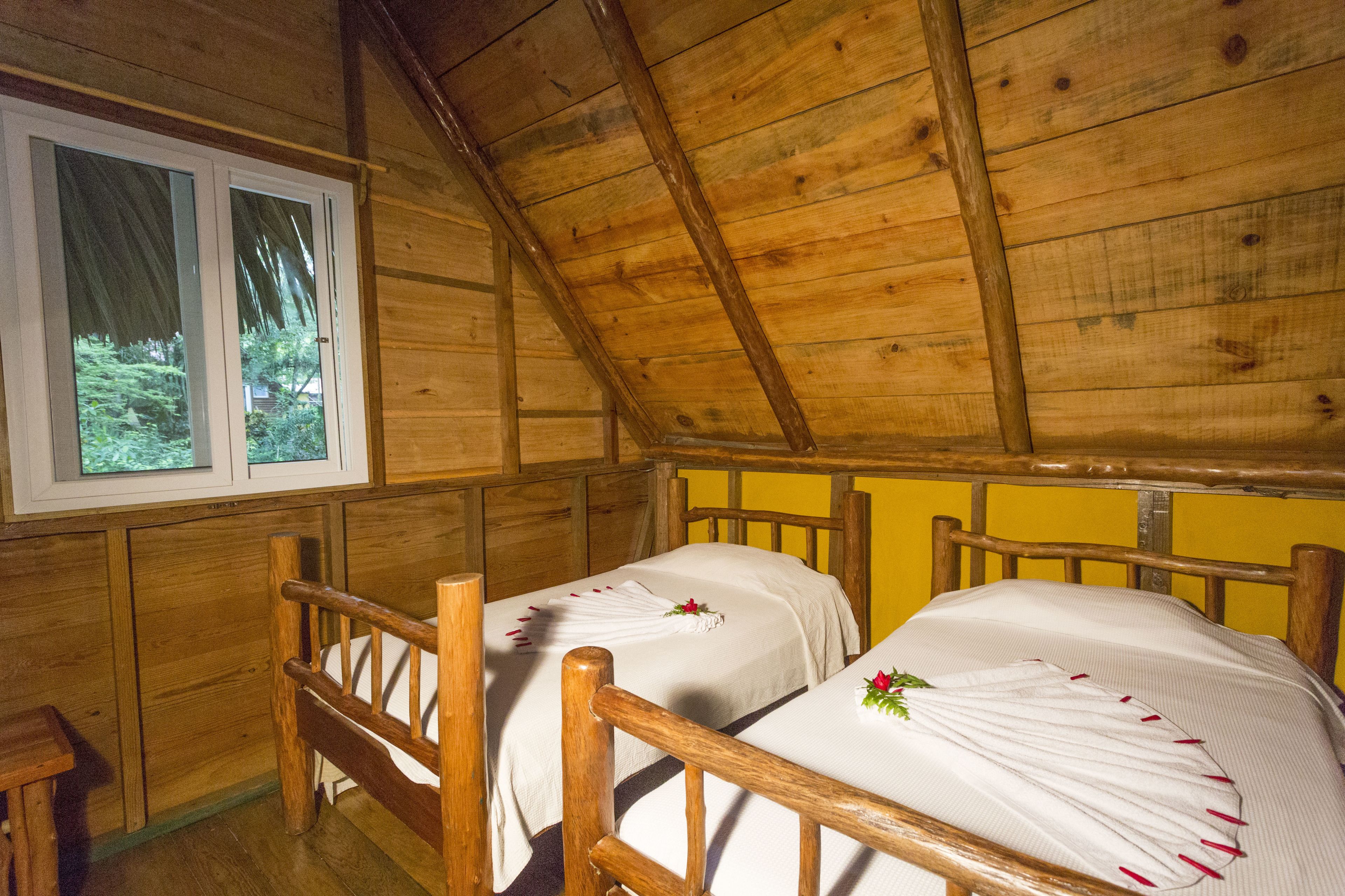 Habitación de cabaña de madera con dos camas, una ventana y vista a follaje exterior.