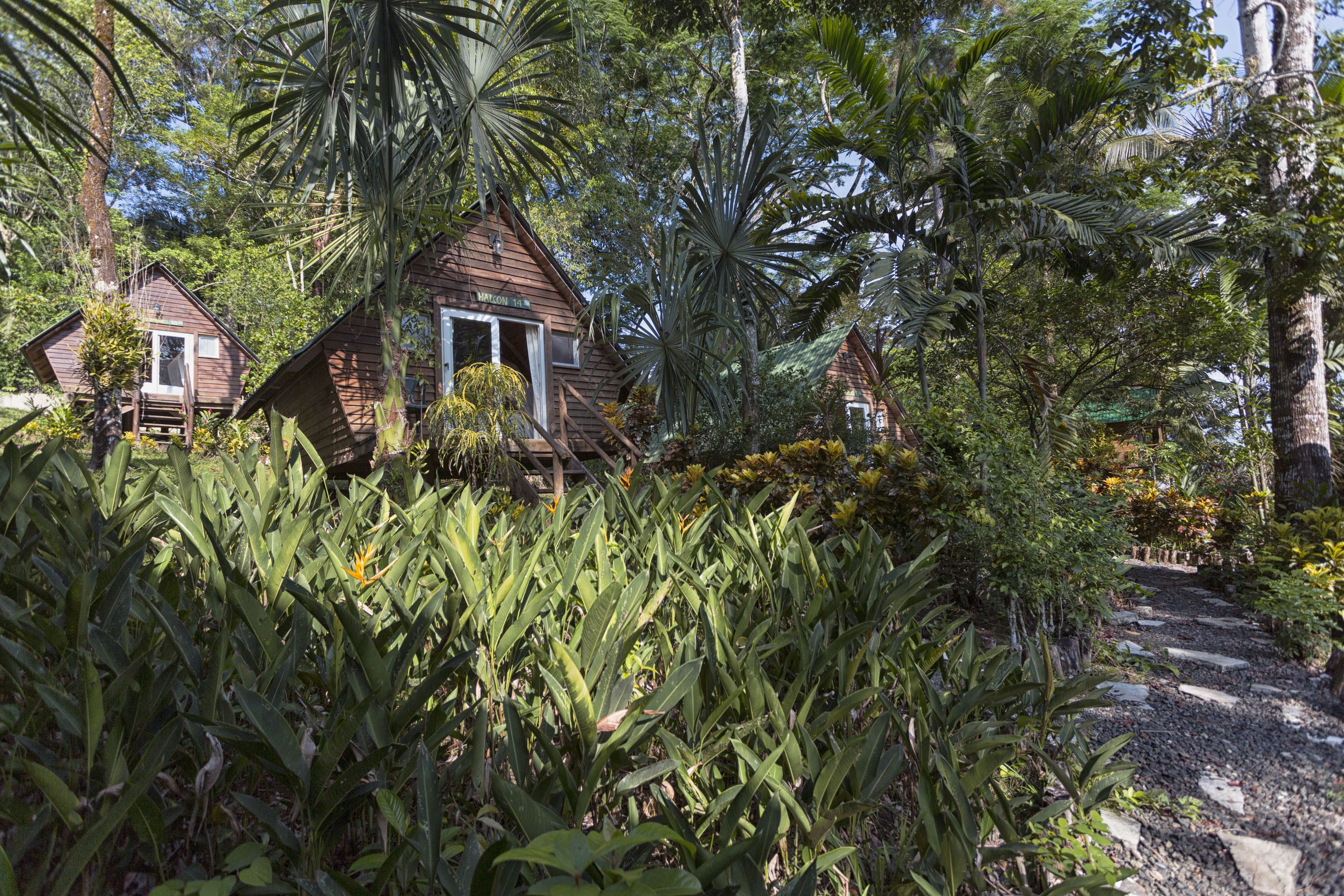 Una cabaña de madera rodeada de exuberante vegetación tropical.