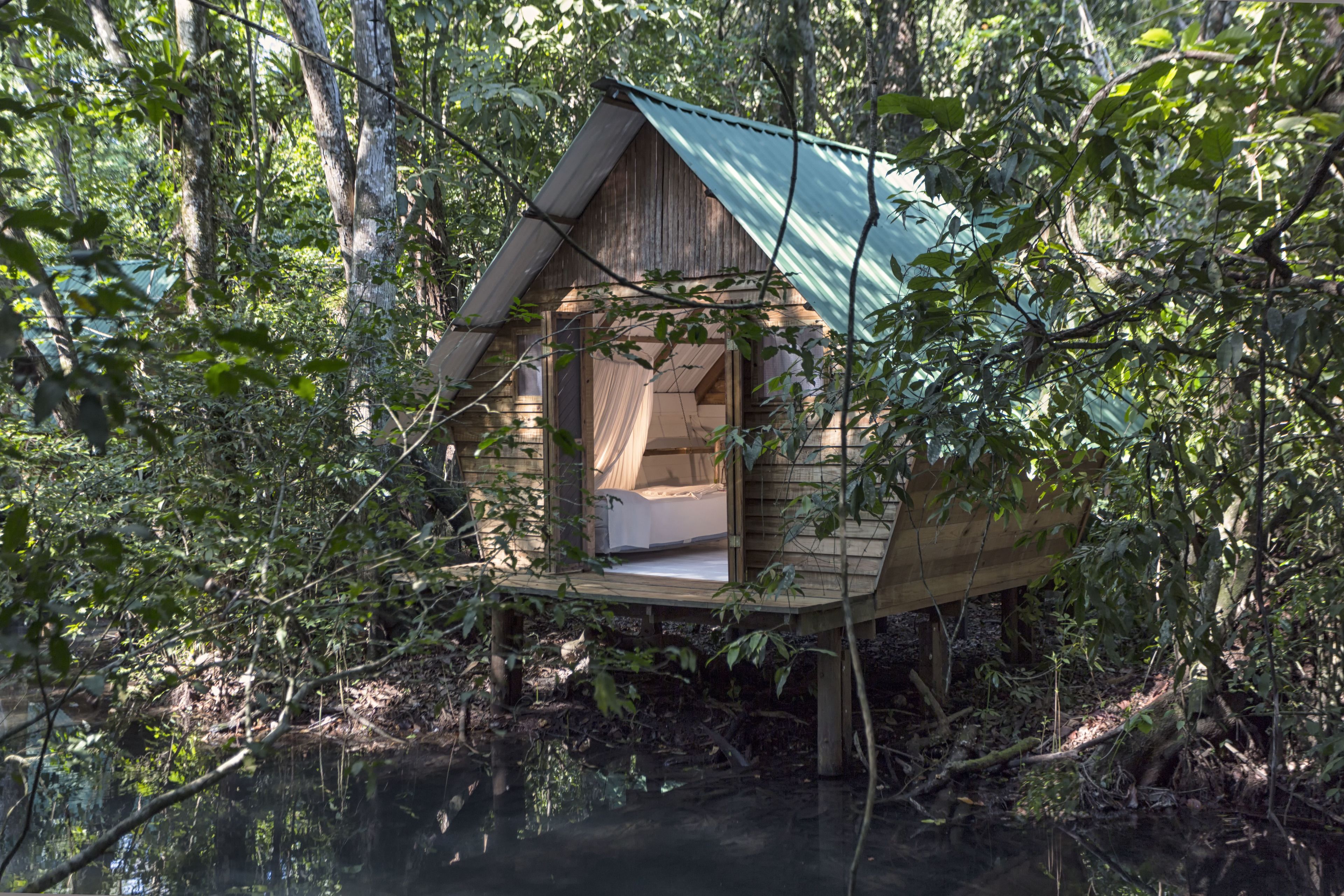 Una cabaña de madera con techo inclinado, ubicada en una zona boscosa cerca de un cuerpo de agua.