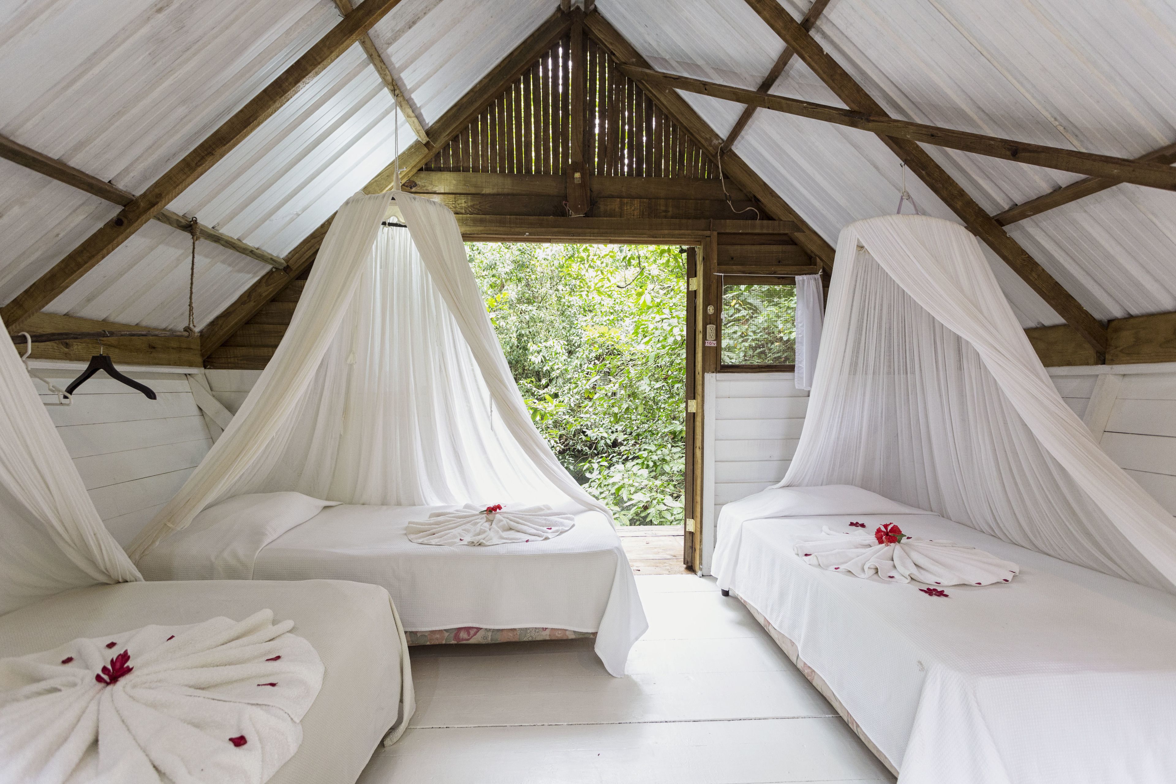 Una habitación con dos camas, cada una con ropa blanca de cama y dosel blanco.