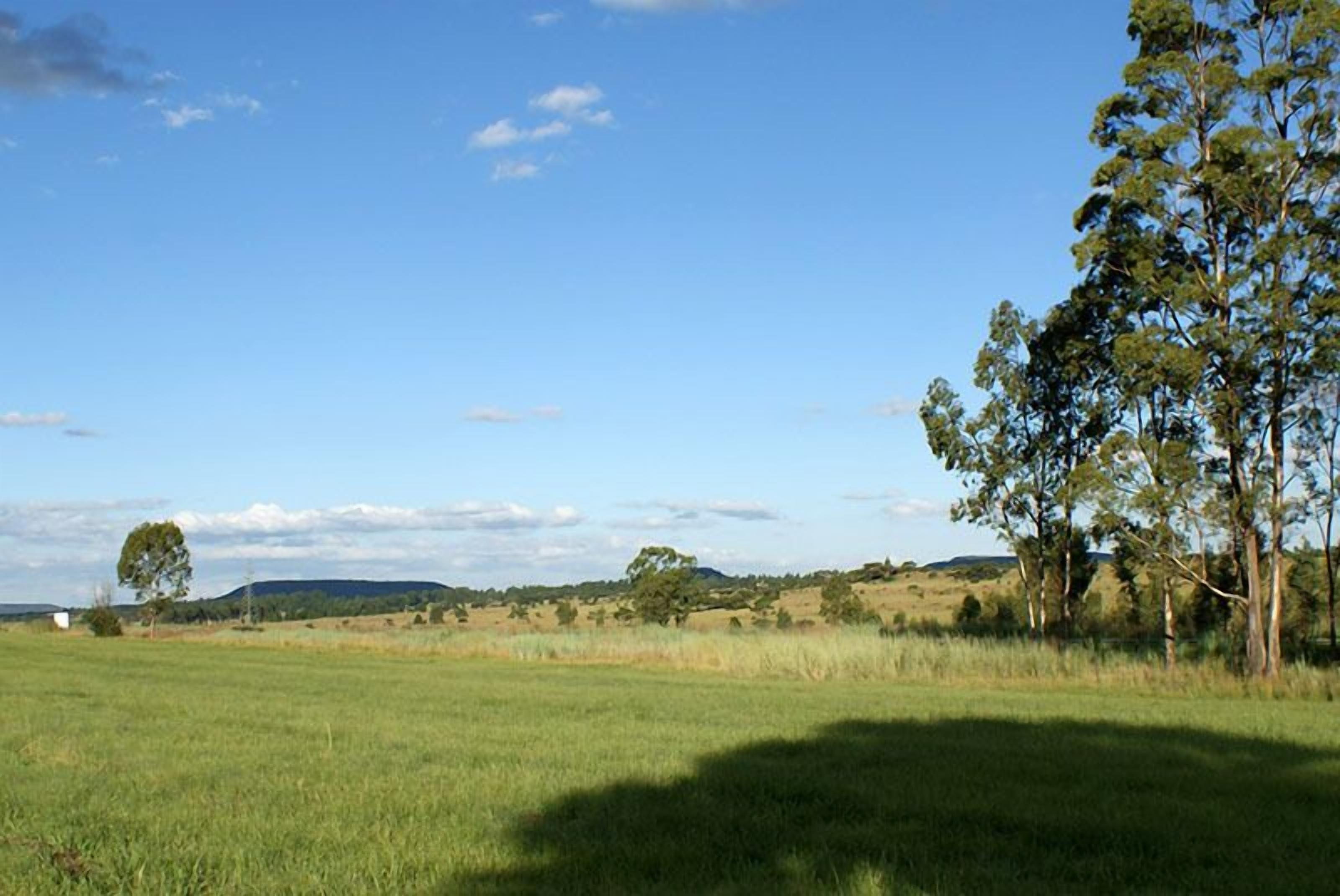 A wide-open field with a clear sky, a few scattered trees, and distant hills.