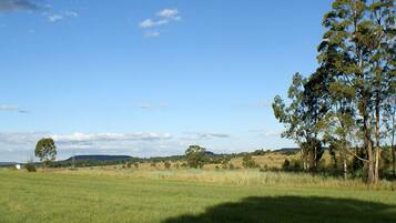 A wide-open field with a clear sky, a few scattered trees, and distant hills.
