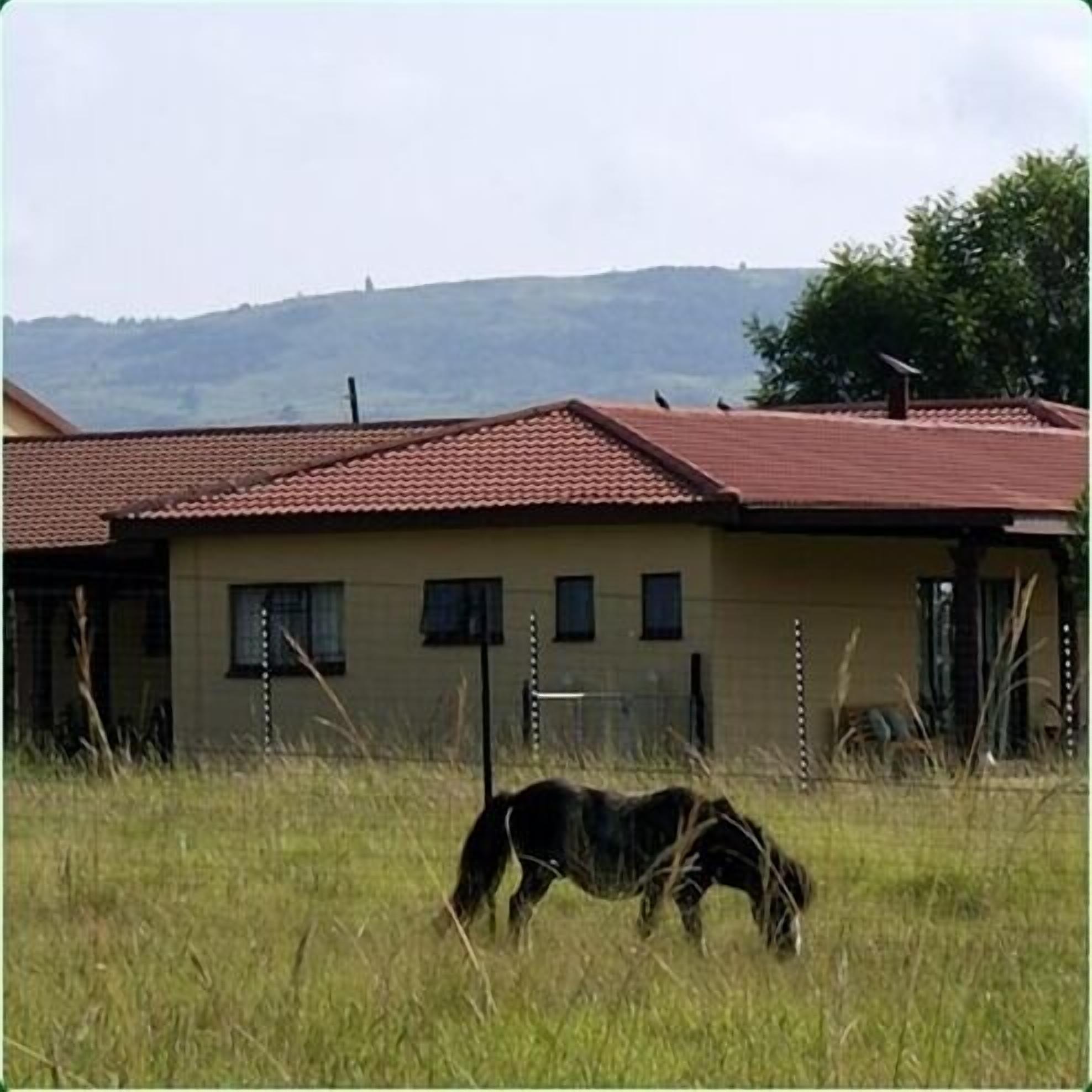 A building with a red roof, surrounded by tall grass.