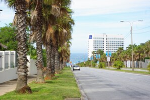 Une rue bordée de palmiers, avec un hôtel en arrière-plan.