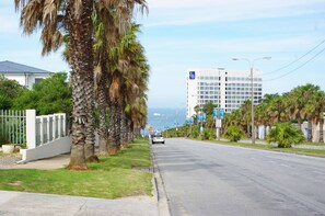 A coastal road lined with palm trees and a modern building in the background.