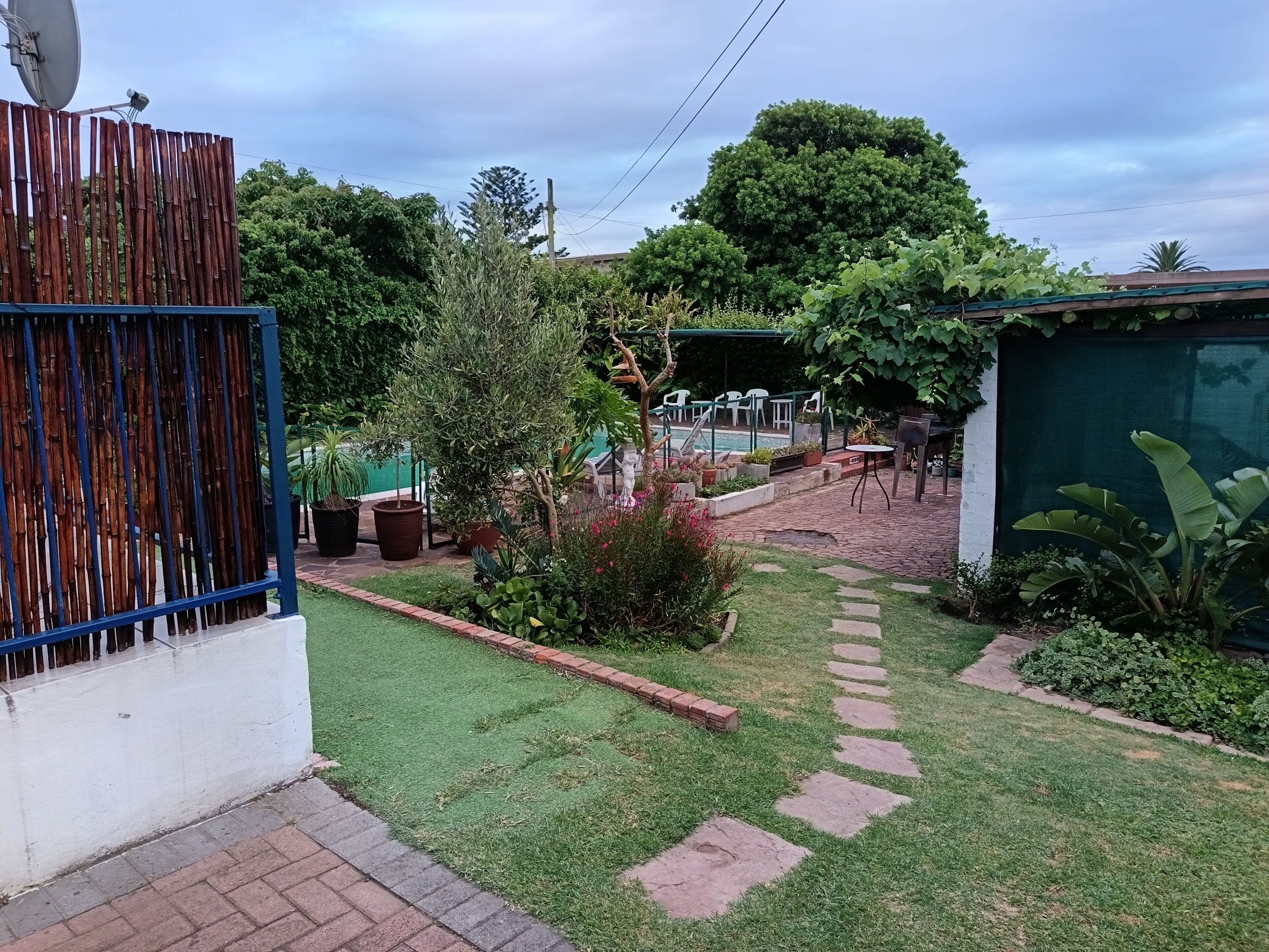 Un patio trasero con piscina, zona de estar techada y diversas plantas.