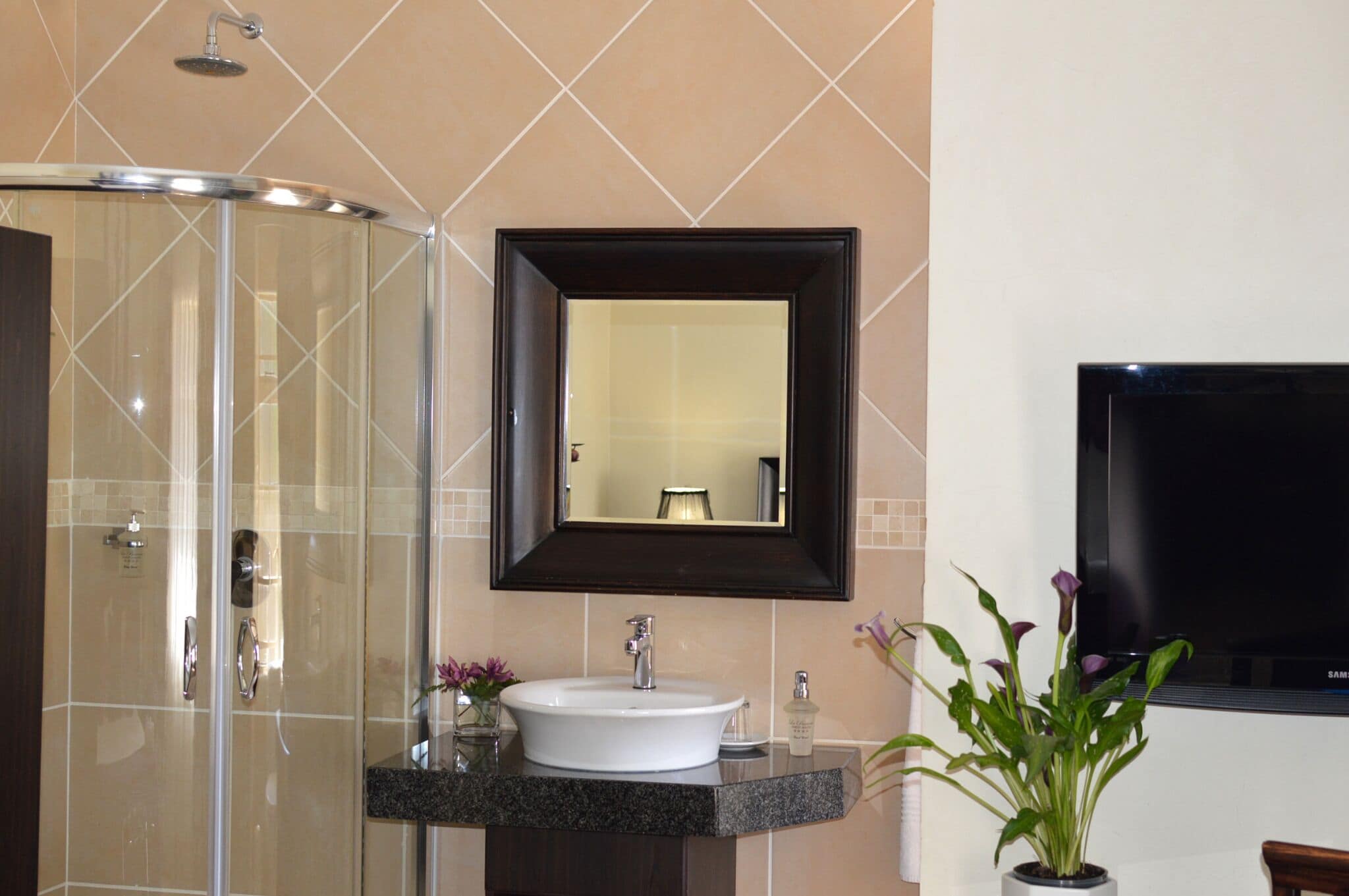 A bathroom with a glass shower enclosure, a white sink with a dark countertop, a mirror above the sink, and a flat-screen TV mounted on the wall.