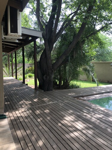 Gecko Cottage