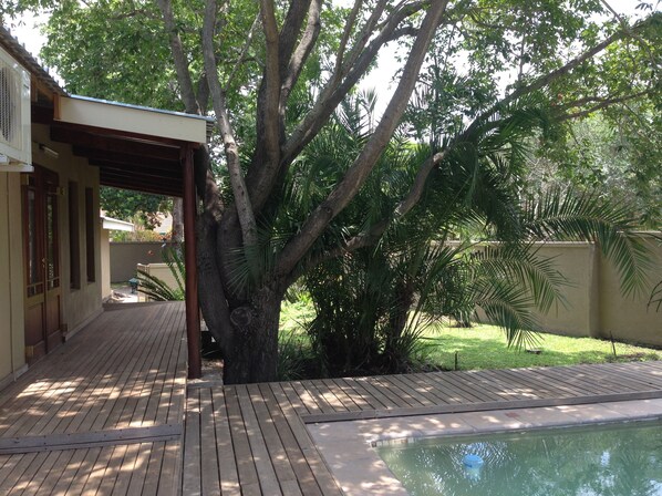 Garden view - Gecko Cottage (Nkomazi)