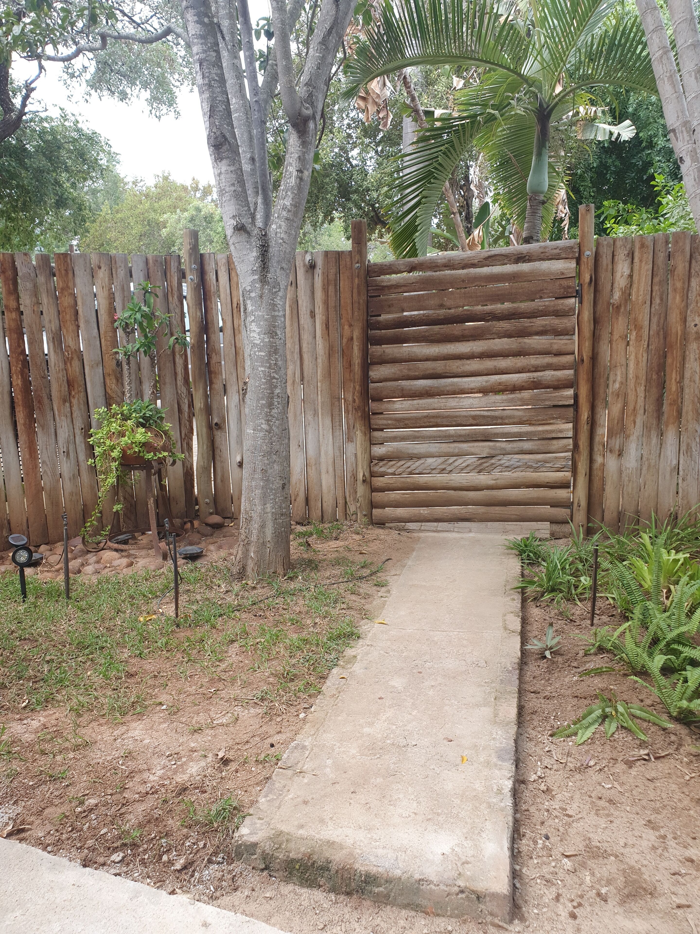 A concrete pathway leading to a wooden gate, surrounded by a wooden fence, with various plants and trees.