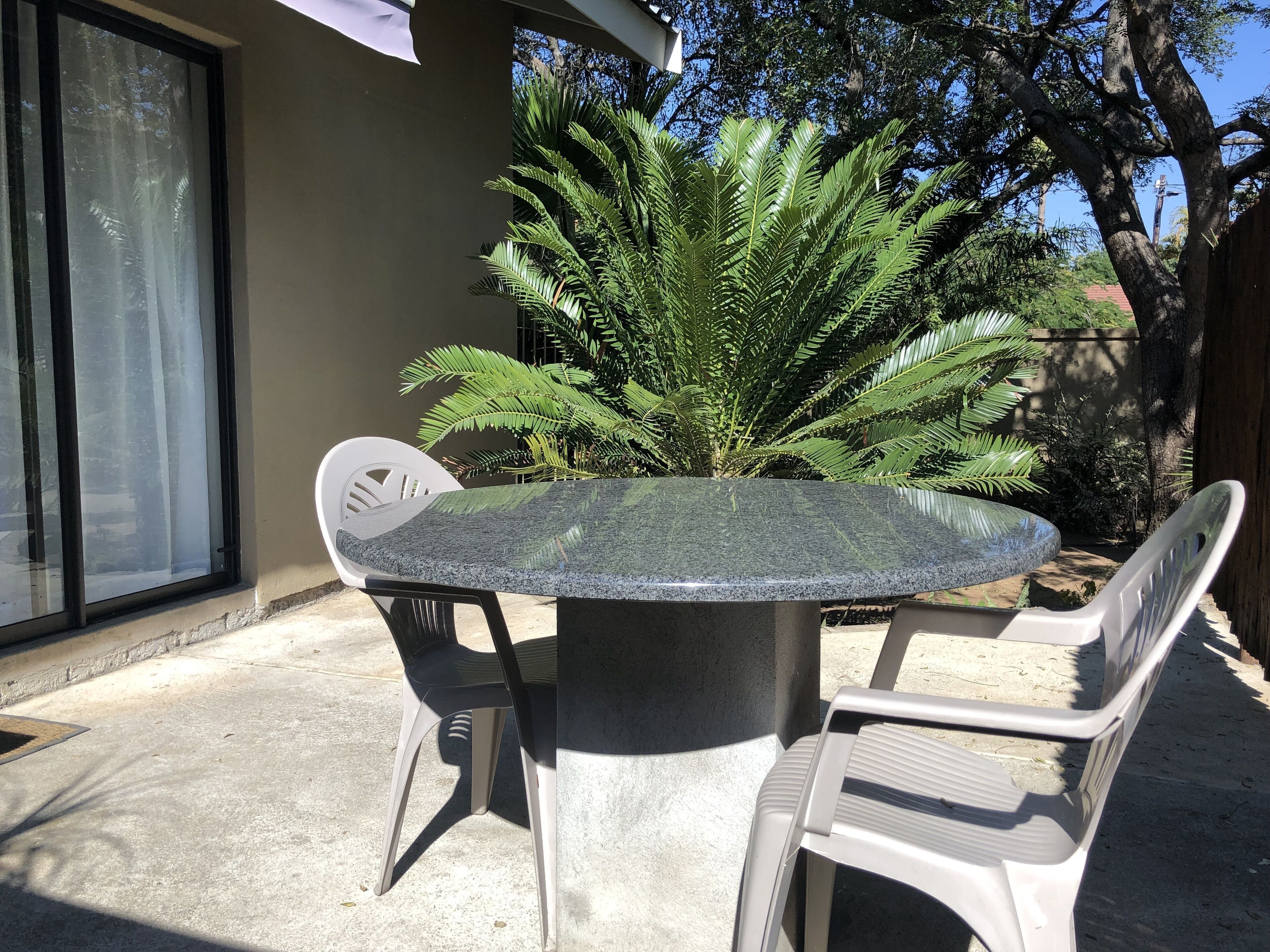 A round table with two chairs, a large fern plant, and a glass door.