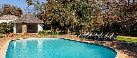 Outdoor pool, sun loungers