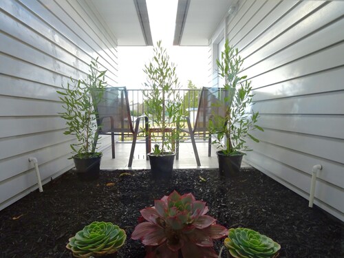 BKs Premier Motel Hamilton