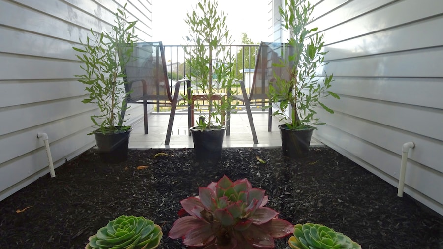 BKs Premier Motel Hamilton