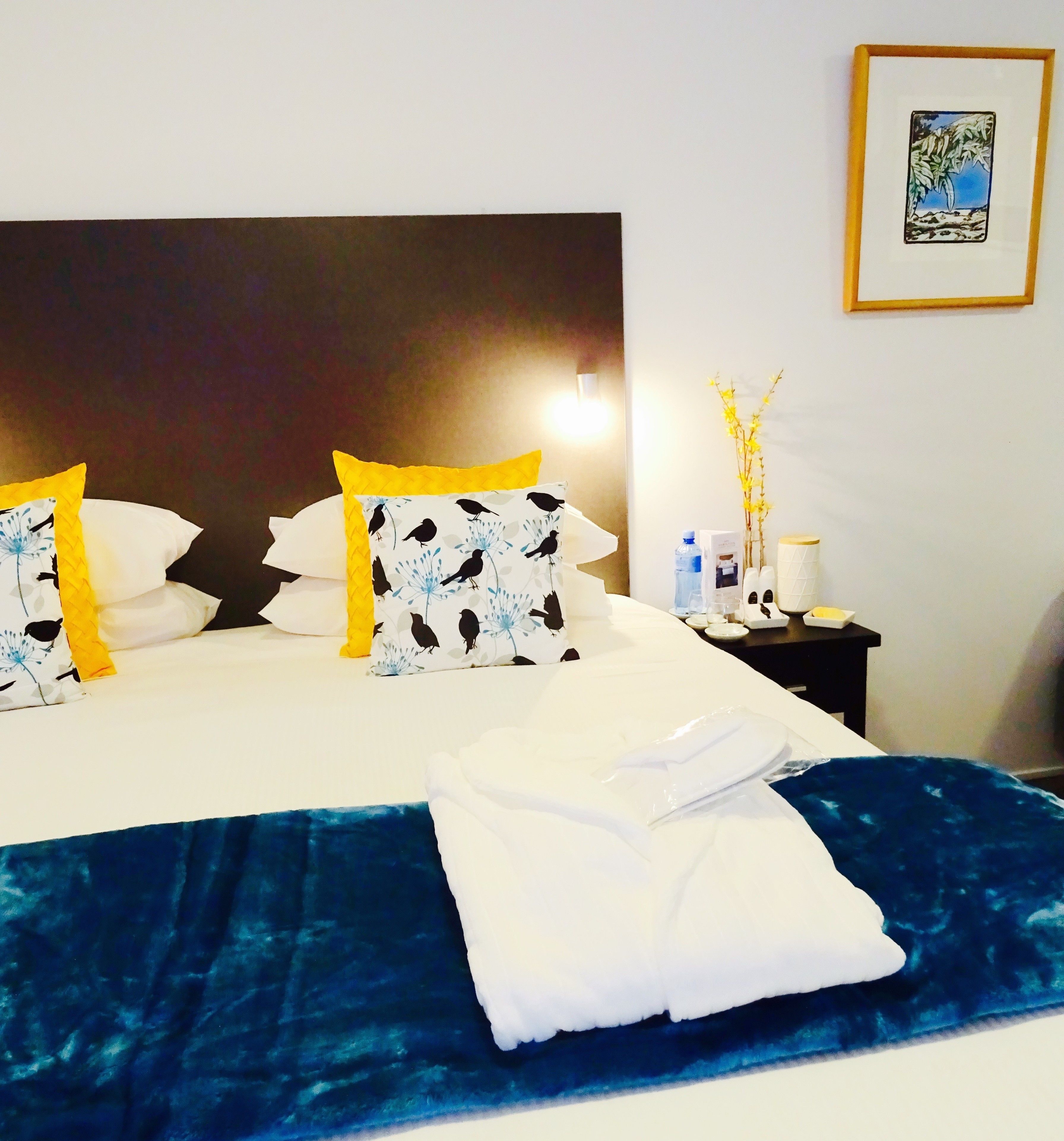 Deluxe Suite Plus sleeps 3