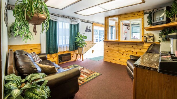 A cozy cabin interior with a leather sofa, a wooden desk, and various plants.