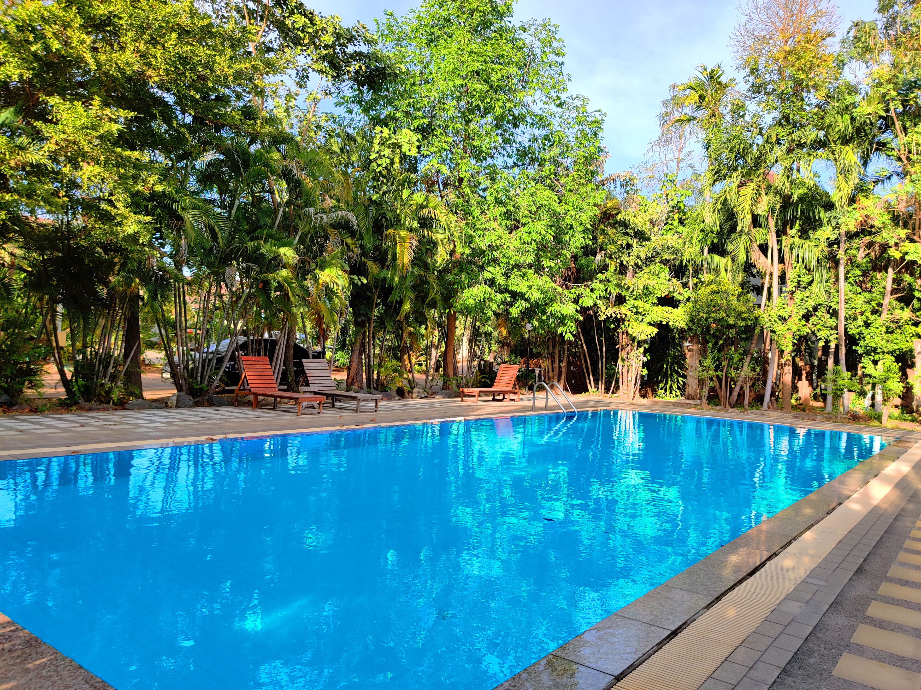 Una piscina rodeada de exuberante vegetación y sillones de madera.
