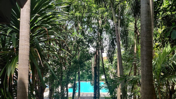 A lush garden with tall palm trees and dense foliage, leading to a pool area. - Thongpaeka Hotel (Prasat)